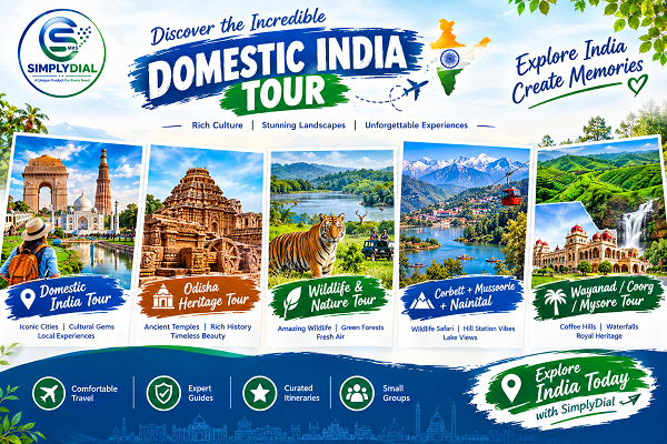 Domestic India Tour